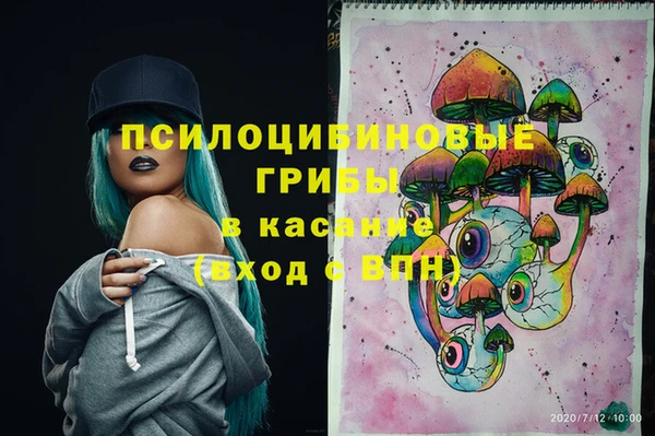 винт Медвежьегорск