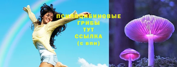 гашик Медногорск