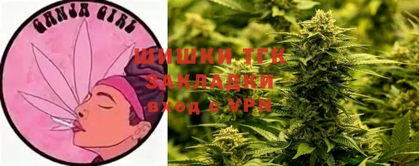 гашик Медногорск