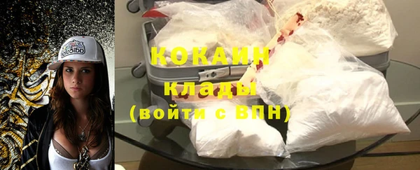 гашик Медногорск