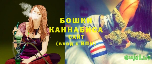 гашик Медногорск