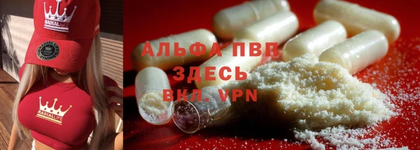 гашик Медногорск