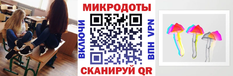 Купить  Салаир  Псилоцибиновые грибы Magic Shrooms 